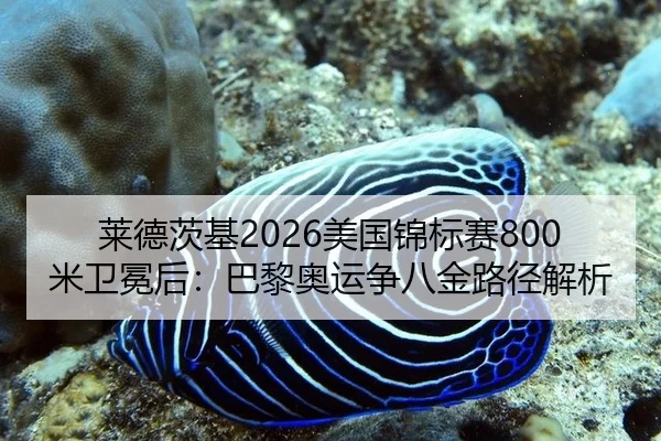 莱德茨基2026美国锦标赛800米卫冕后：巴黎奥运争八金路径解析