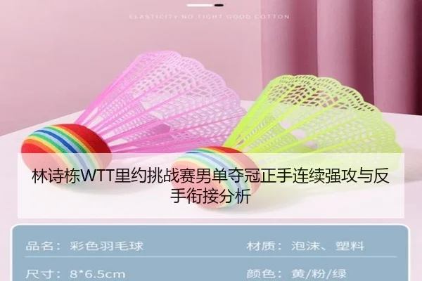 林诗栋WTT里约挑战赛男单夺冠正手连续强攻与反手衔接分析